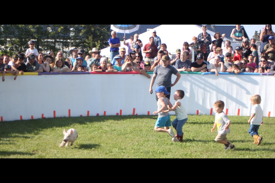 Hylo Harvest Days returns for 35th year featuring new and old favourites